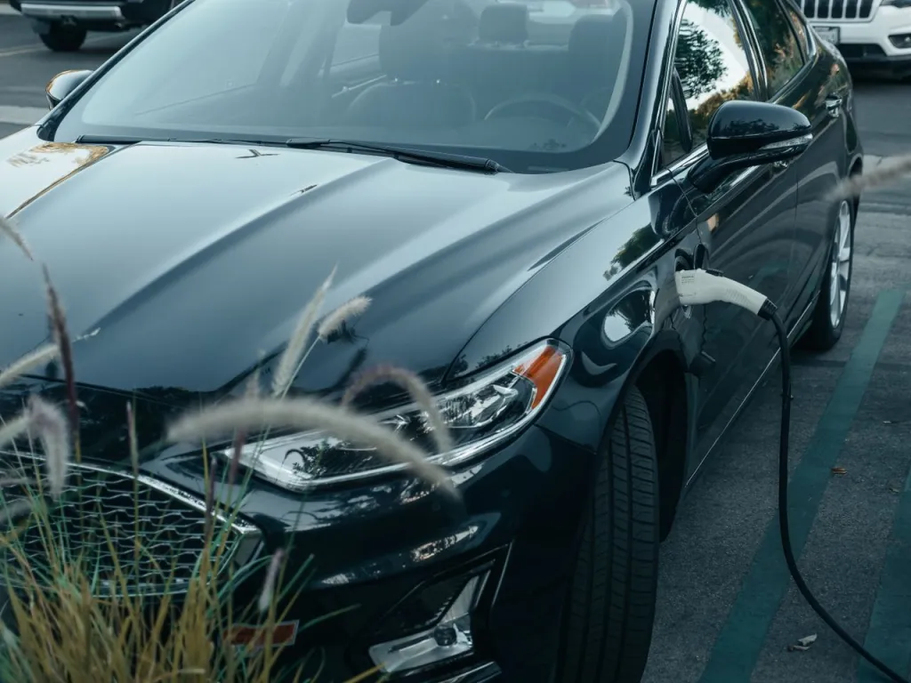 Black plug-in sedan charging in a car park bay, with ornamental grass in front